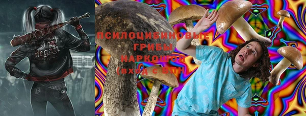 твердый Аркадак