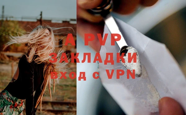 твердый Аркадак